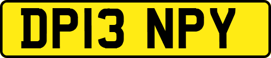 DP13NPY