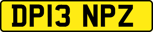 DP13NPZ