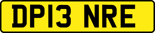 DP13NRE