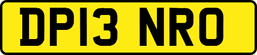 DP13NRO