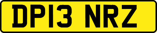 DP13NRZ