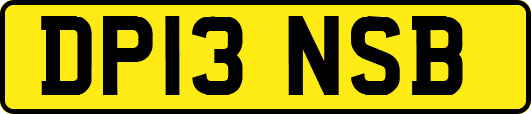 DP13NSB