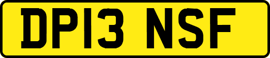 DP13NSF