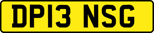 DP13NSG
