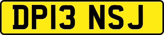 DP13NSJ