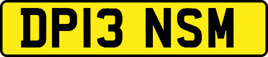 DP13NSM