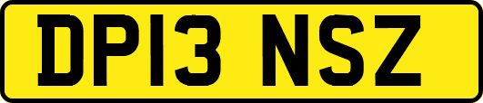DP13NSZ