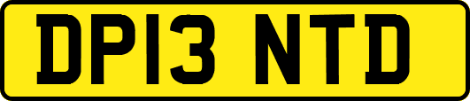 DP13NTD