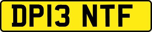 DP13NTF