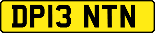 DP13NTN
