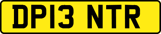 DP13NTR