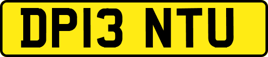 DP13NTU