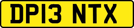DP13NTX