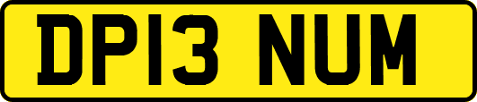 DP13NUM