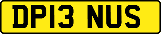 DP13NUS