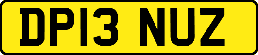 DP13NUZ