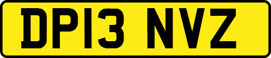 DP13NVZ