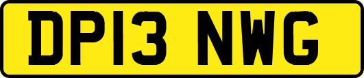 DP13NWG