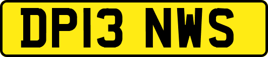 DP13NWS