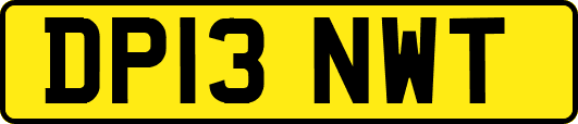 DP13NWT