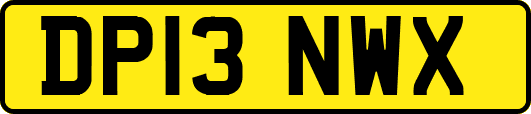 DP13NWX