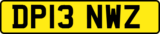 DP13NWZ