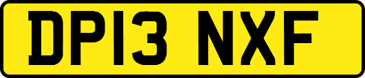 DP13NXF