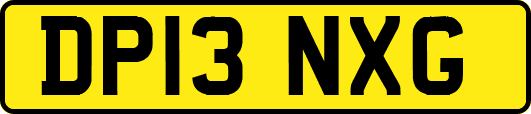 DP13NXG