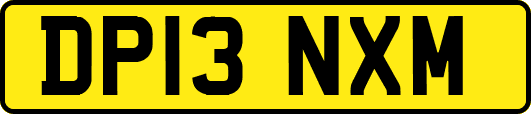 DP13NXM