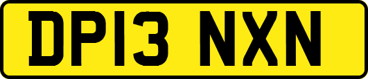 DP13NXN
