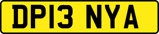 DP13NYA