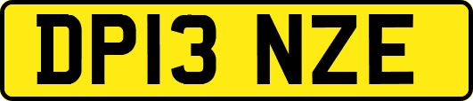 DP13NZE
