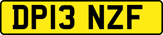 DP13NZF