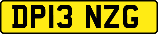 DP13NZG