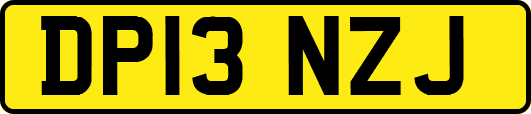 DP13NZJ