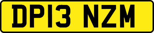 DP13NZM