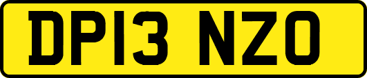 DP13NZO