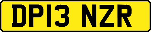 DP13NZR