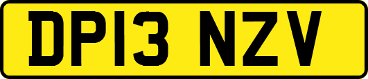 DP13NZV