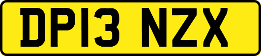 DP13NZX