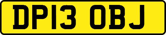 DP13OBJ