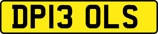 DP13OLS