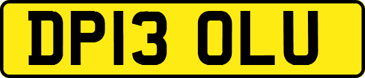 DP13OLU