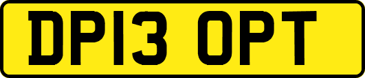 DP13OPT