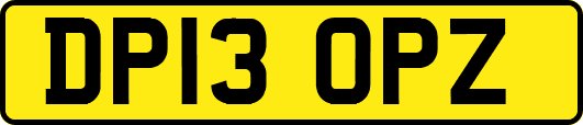 DP13OPZ