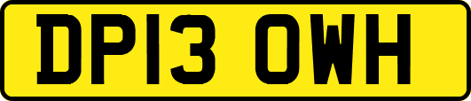 DP13OWH