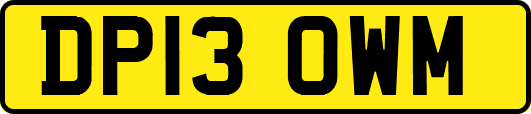 DP13OWM