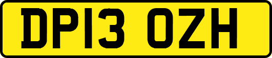 DP13OZH
