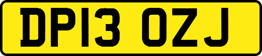 DP13OZJ