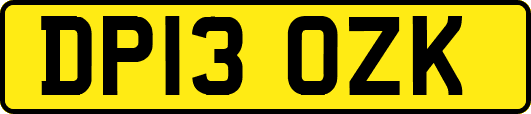 DP13OZK